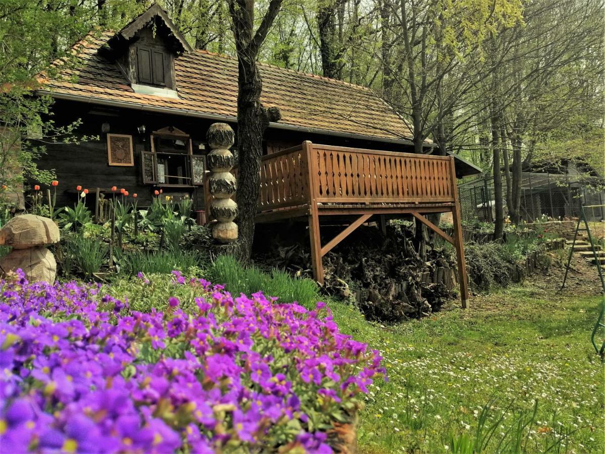 Country House With A Pool In Medvednica Nature Park Загреб Экстерьер фото